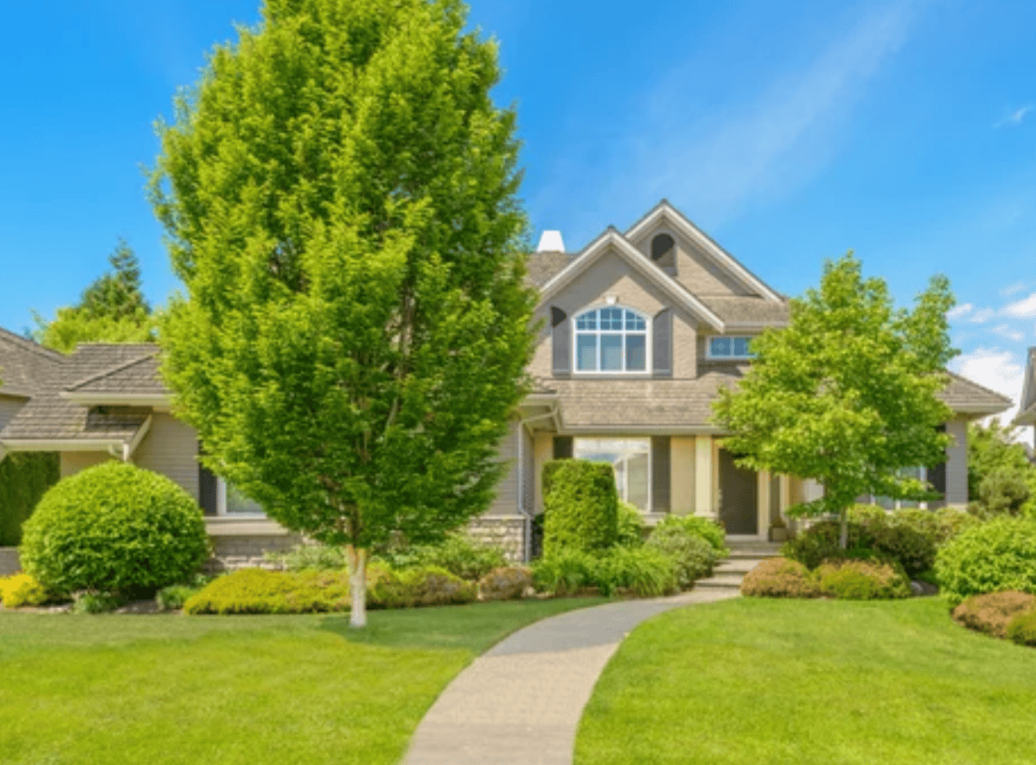 Trees around a house